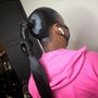 Barbie Ponytail