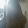 Natural Twists