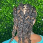 Feed in Braids (8-12 Braids)