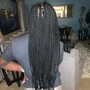 11-14yrs Teen’s Feeder Braids