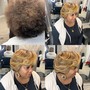 Root Touch Up