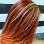 Highlights /Dimensional Color