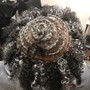 Pincurls, Twists, Spirals, etc