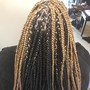 Havana Twists