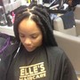 Mini Braids/Twists (Natural Hair)