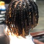 Individual Braids on natural hair (whole head)