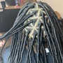 Starter Locs Small