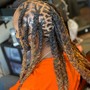 Two feed in Braids