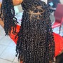 Kinky Twist/Passion Twists