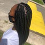 BOX BRAIDS: Midback Medium