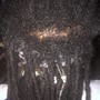 Micro Loc with Extensions 100% Human Hair