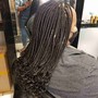 Medium regular box Braids