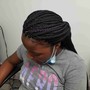 Medium regular box Braids