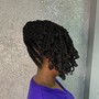 Starter Locs