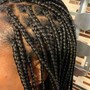 Micro Locs Twist with Natural Hair