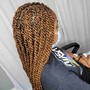 Senegalese Twist small and long