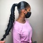 Barbie Ponytail