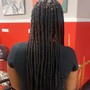 Senegalese Twist