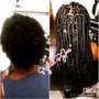 Medium Passion Twists Mid-Lower Back