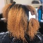 Root Touch Up