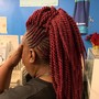 Loc Retwists (twists/ palm roll)