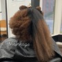 Root Touch Up