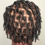 Starter locs