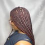 Knotless Twists (Large)