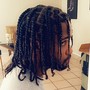 Starter Dreadlocks