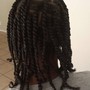 Natural Twists