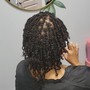 Comb Twists