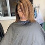 Shampoo/Silk Press/Steam Hydration/CUT