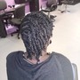 Tree Braids