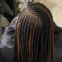 Small 3layer braids (lower back length)