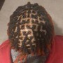 Comb Twist/Starter Locs