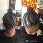 Comb Twist/Starter Locs