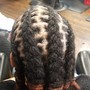 Starter Locs (half head)