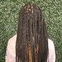 Large Box braids Mid- back