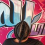 Sleek Pig-tail Ponytail