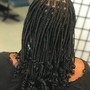 Havana Twists