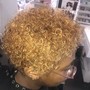 Root Touch Up