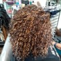 Root Touch Up