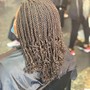 Havana Twists