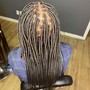 Goddess Braids/small medium Tribal