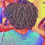 Loc Retwist