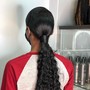 Ponytail/Updo