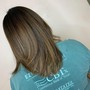 Root Touch Up