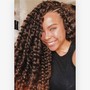 Adult Braids (natural hair)