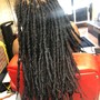 Starter locs short