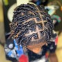 Starter Dreadlocks